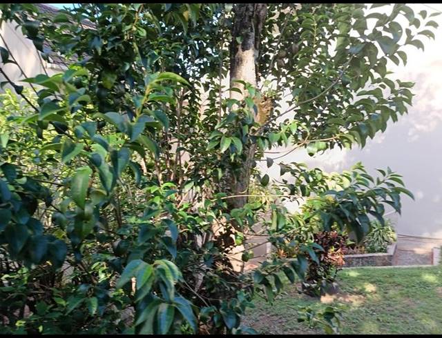 3 BEDROOM PROPERTY TO RENT IN MORNINGSIDE